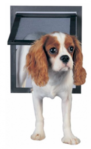 Dog screen door