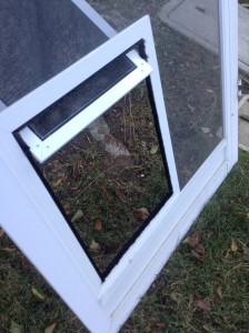 pet door on swinging screen door